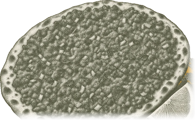 Lahmacun – Zeichnung